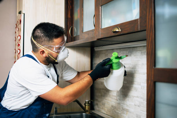 Best Flea Control Services  in Surf City, NC