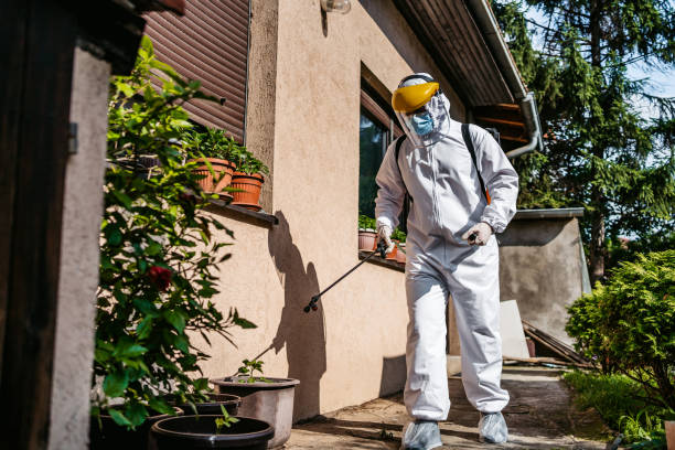 Best Affordable Pest Control Services  in Surf City, NC