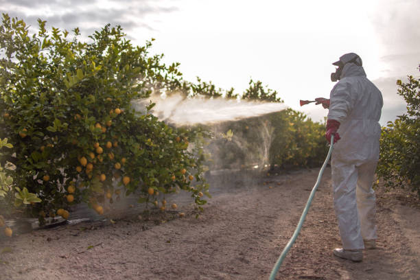 Best Exterminator Services  in Surf City, NC