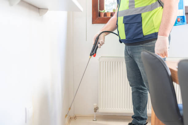Best Local Pest Control Services  in Surf City, NC