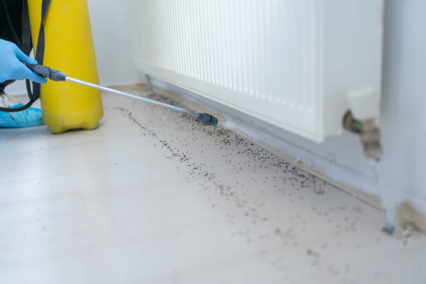 Best Pest Control Treatment  in Surf City, NC