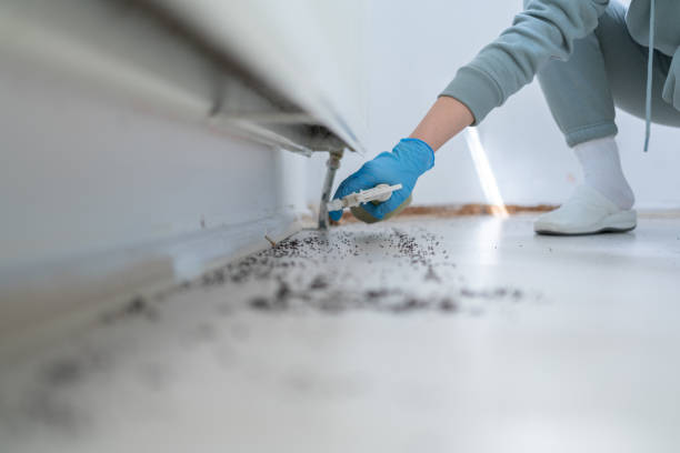 Best Pest Removal Services  in Surf City, NC