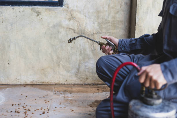 Best Best Pest Control Companies  in Surf City, NC